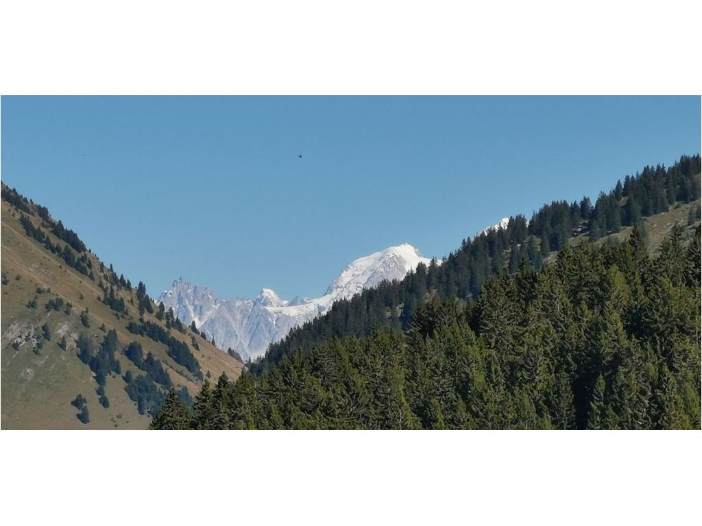 Appartement Studio MANIGOD (74230) KAP IMMOBILIER